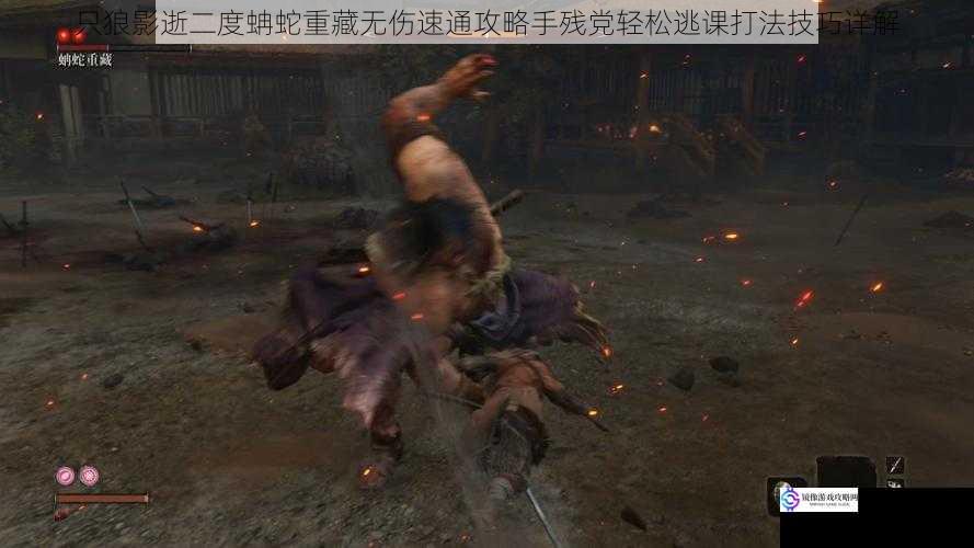 只狼影逝二度蚺蛇重藏无伤速通攻略手残党轻松逃课打法技巧详解