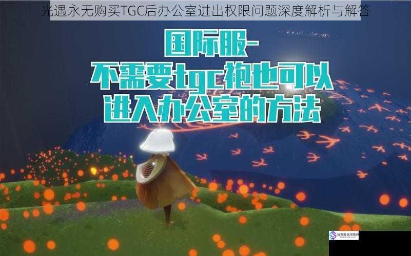 光遇永无购买TGC后办公室进出权限问题深度解析与解答
