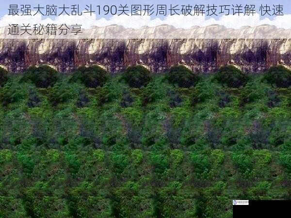 最强大脑大乱斗190关图形周长破解技巧详解 快速通关秘籍分享