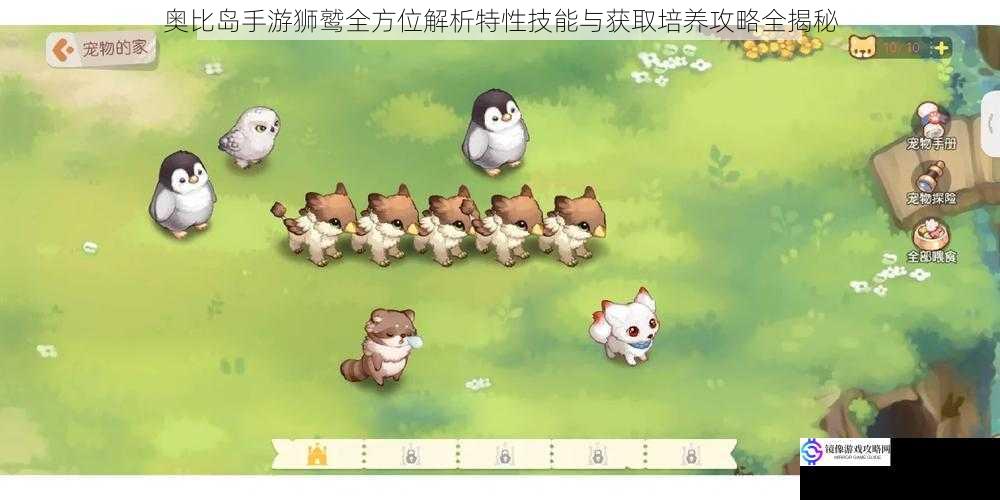 奥比岛手游狮鹫全方位解析特性技能与获取培养攻略全揭秘