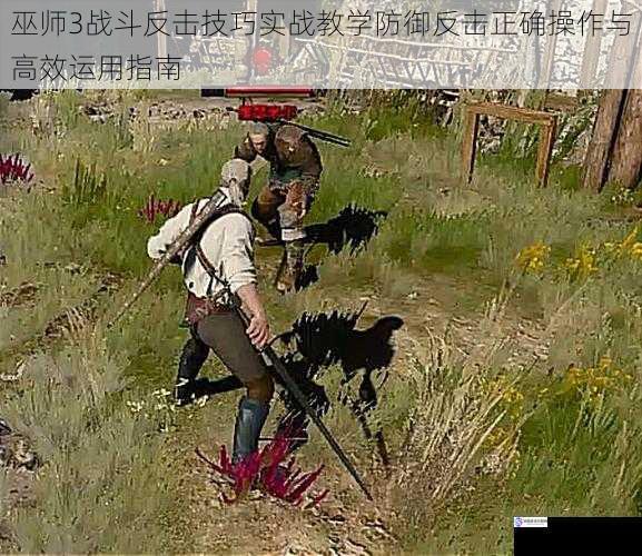 巫师3战斗反击技巧实战教学防御反击正确操作与高效运用指南