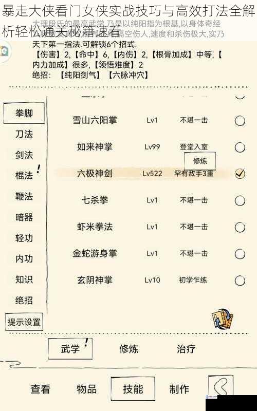暴走大侠看门女侠实战技巧与高效打法全解析轻松通关秘籍速看