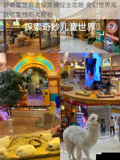 妙奇星球萌宠邮票捕捉全攻略 奇幻世界高效收集技巧大揭秘