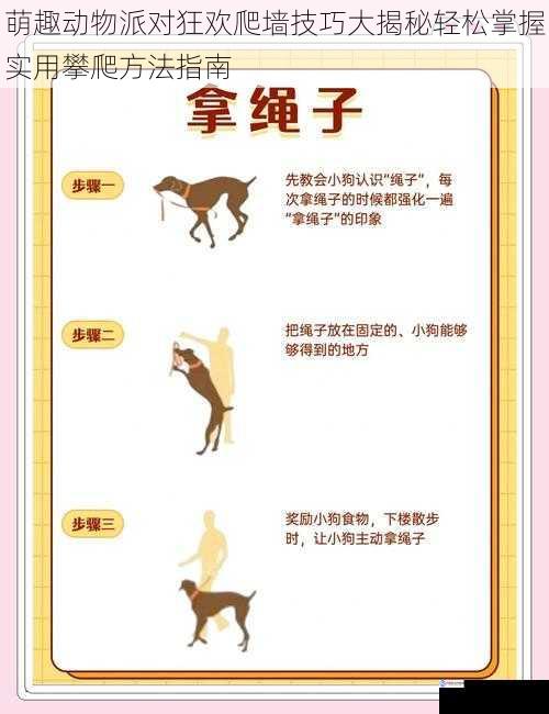 萌趣动物派对狂欢爬墙技巧大揭秘轻松掌握实用攀爬方法指南