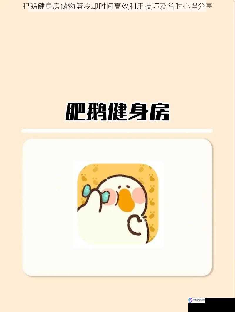 肥鹅健身房储物篮冷却时间高效利用技巧及省时心得分享