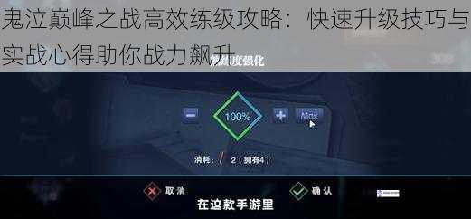 鬼泣巅峰之战高效练级攻略:快速升级技巧与实战心得助你战力飙升