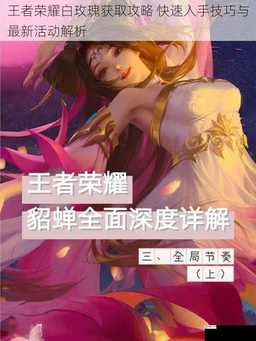 王者荣耀白玫瑰获取攻略 快速入手技巧与最新活动解析