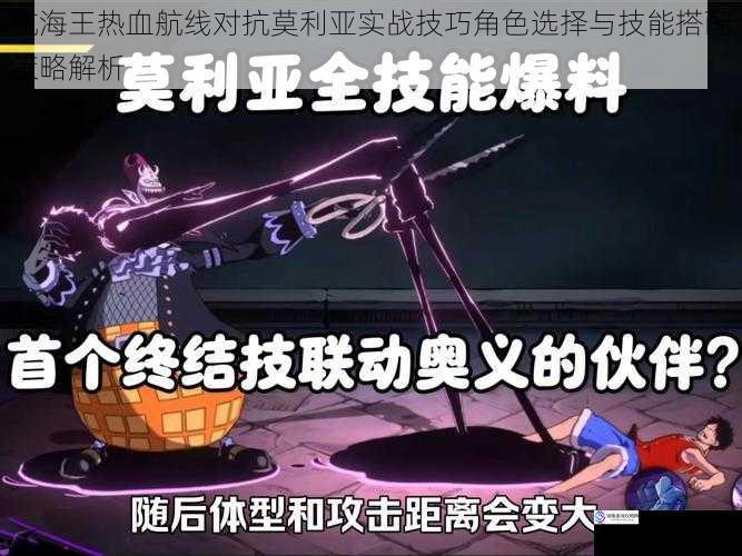 航海王热血航线对抗莫利亚实战技巧角色选择与技能搭配策略解析