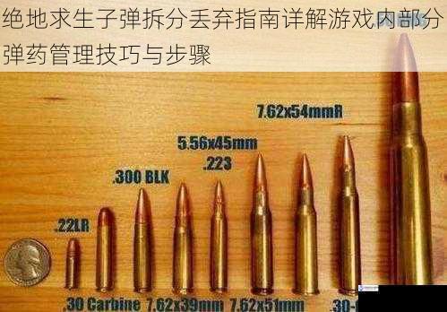 绝地求生子弹拆分丢弃指南详解游戏内部分弹药管理技巧与步骤