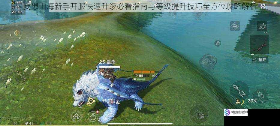 妄想山海新手开服快速升级必看指南与等级提升技巧全方位攻略解析