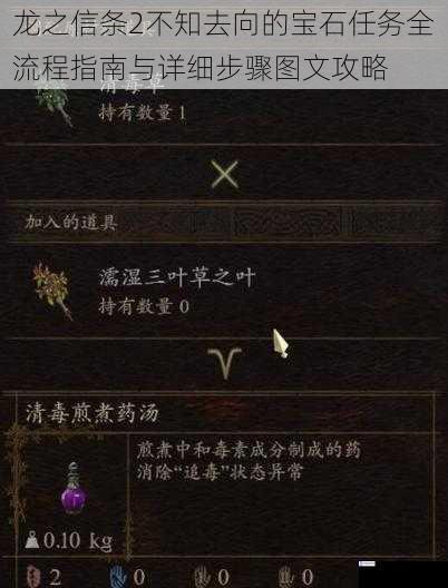 龙之信条2不知去向的宝石任务全流程指南与详细步骤图文攻略