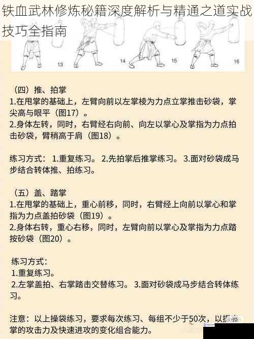 铁血武林修炼秘籍深度解析与精通之道实战技巧全指南