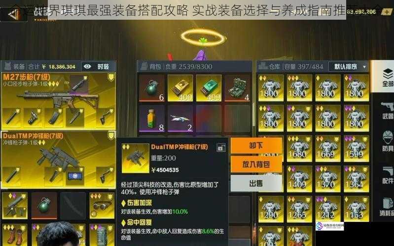 命运神界琪琪最强装备搭配攻略 实战装备选择与养成指南推荐大全