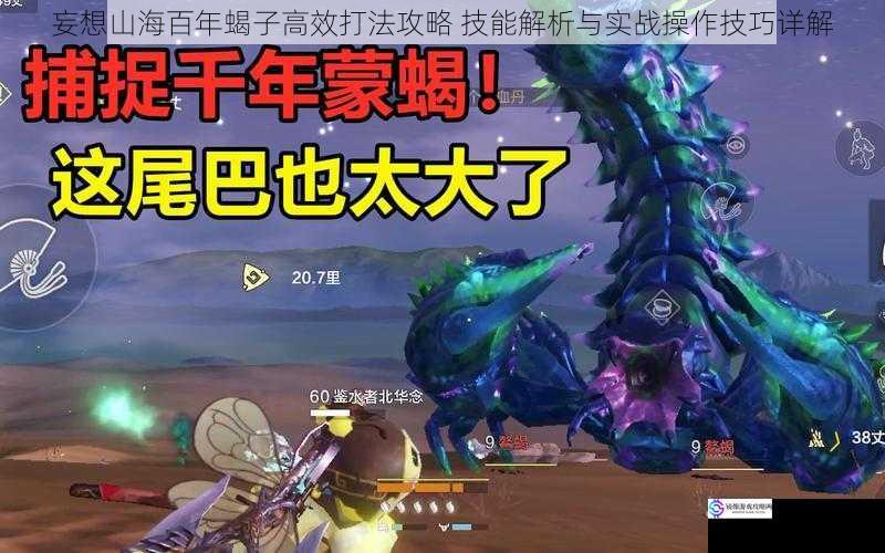 妄想山海百年蝎子高效打法攻略 技能解析与实战操作技巧详解