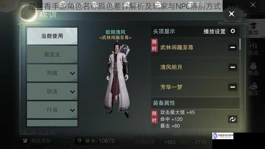 楚留香手游角色名称颜色差异解析及玩家与NPC辨别方式详解